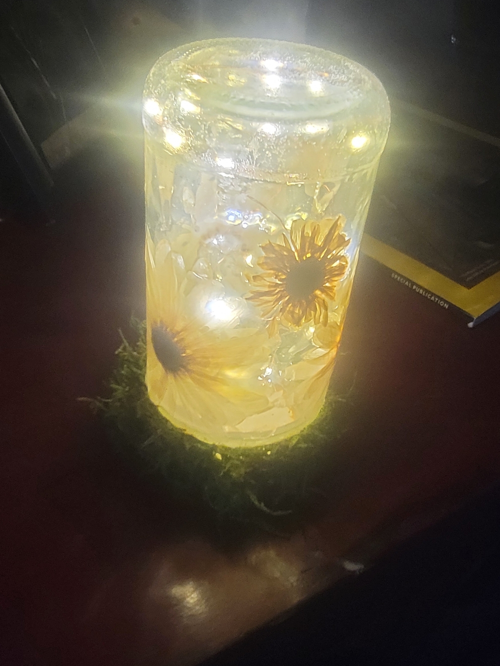 Dried Daisy LED Glass Jar Accent Light - Yellow